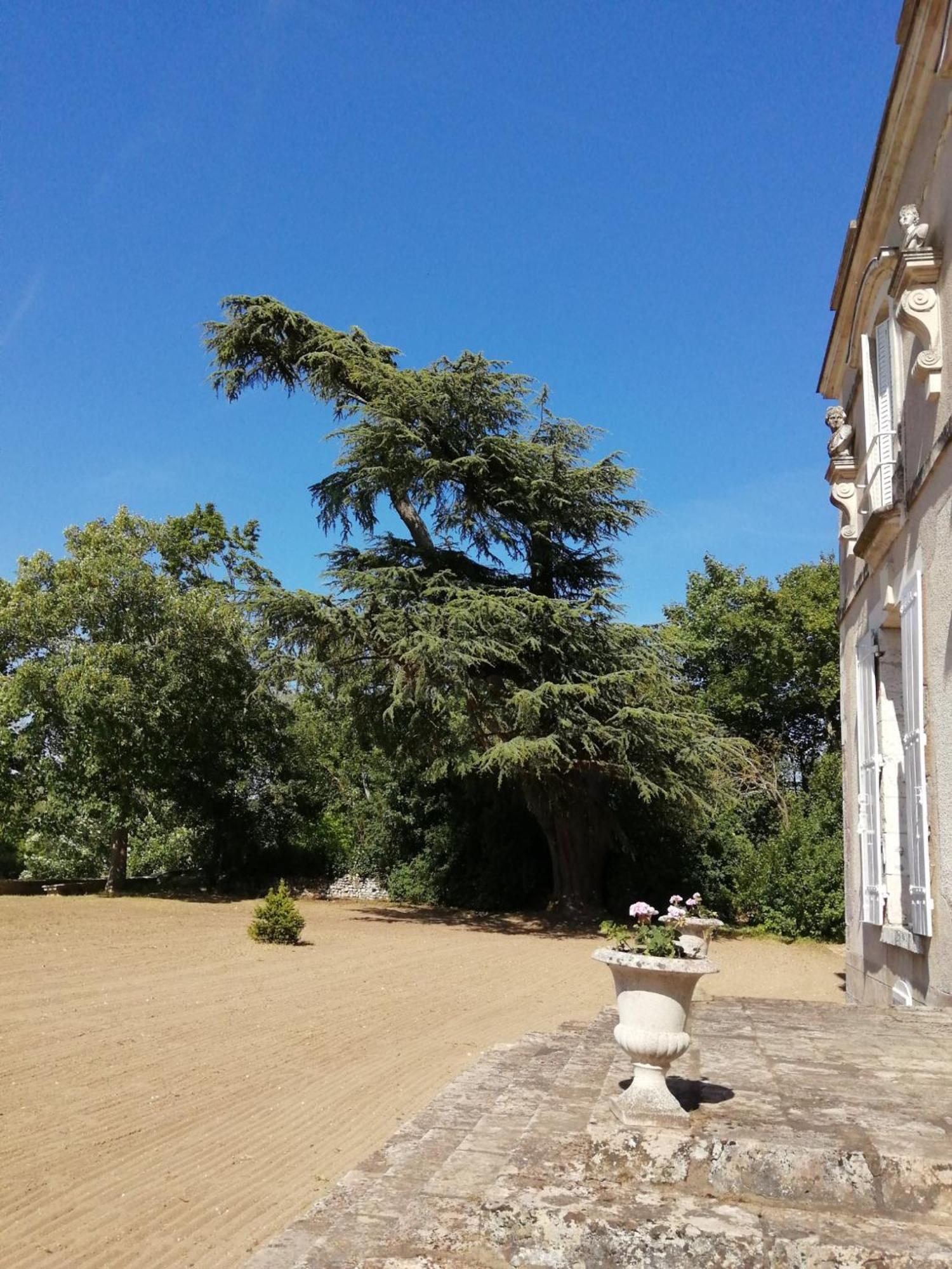Chateau De Colliers Muides-sur-Loire Room photo
